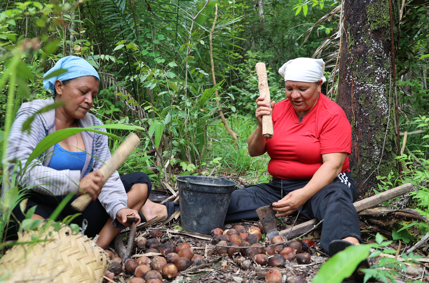 Projeto Agrichains Brasil e parceiros realizam visita técnica no Assentamento Canto do Ferreira no Maranhão 