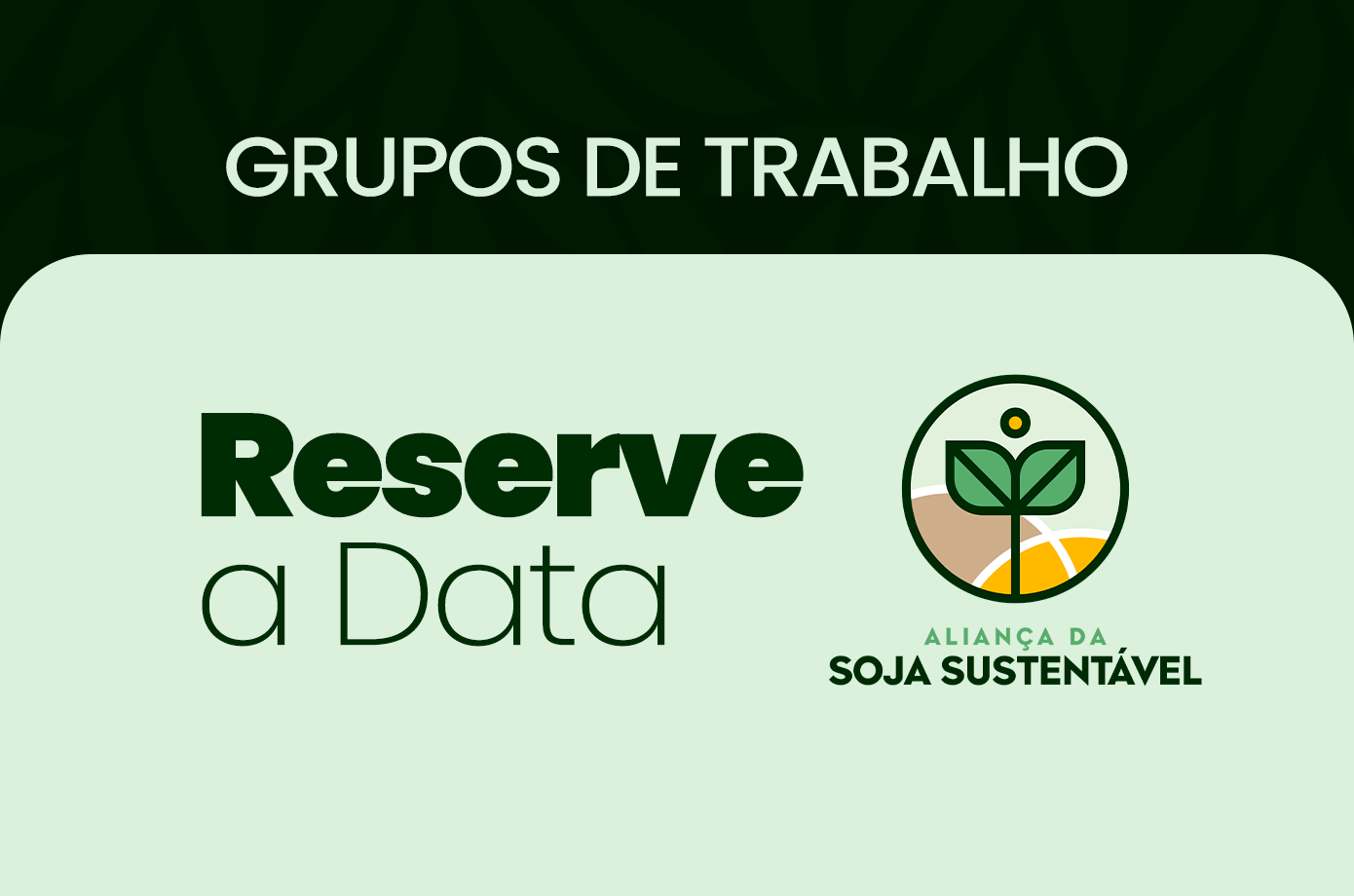 Aliança da Soja Sustentável: impulsionando a cadeia produtiva através da colaboração