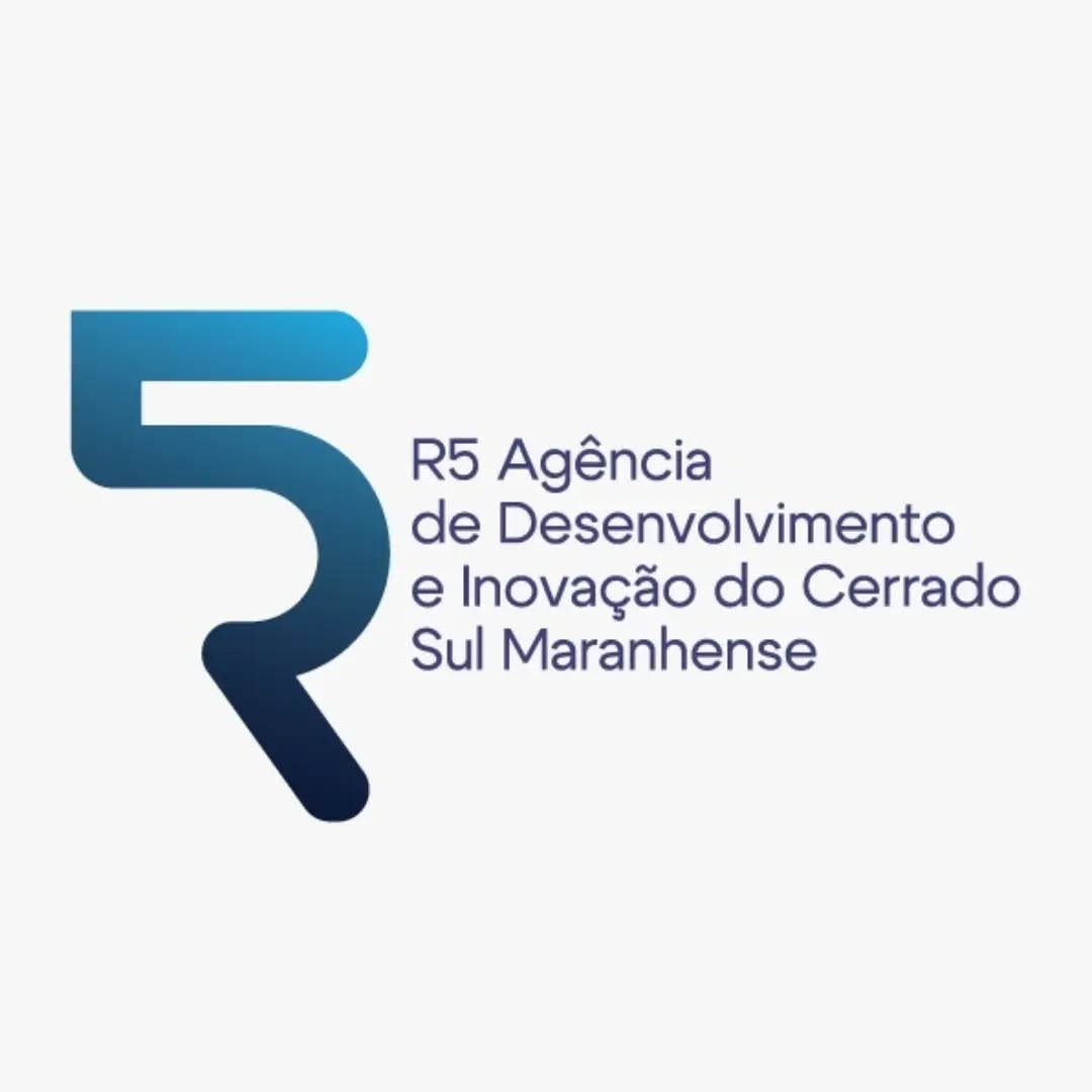 454997206_873393968180141_4352476261098722558_n