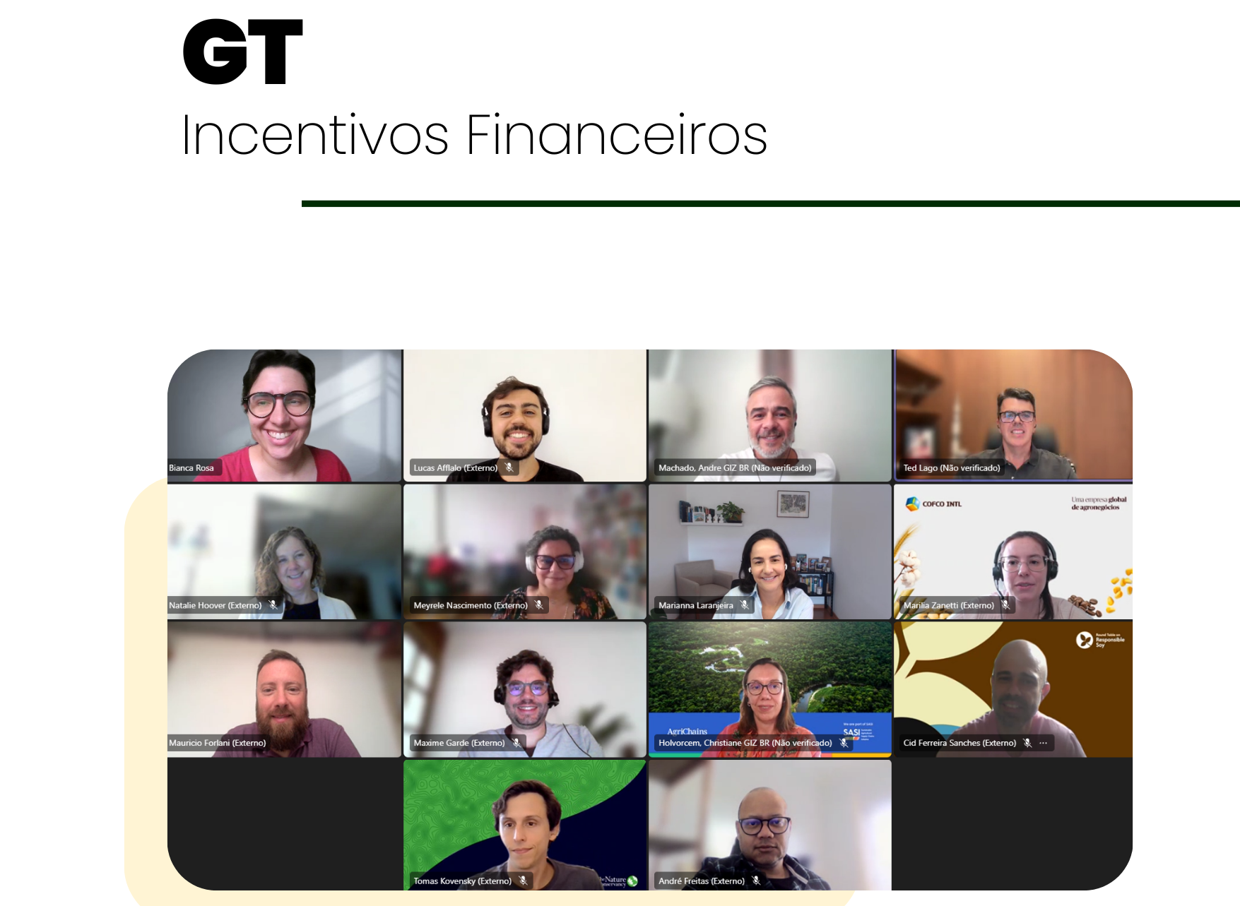 Grupos de Trabalho de novembro avançam agendas estratégicas da soja sustentável