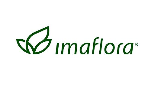 Prancheta 1 copiar 3