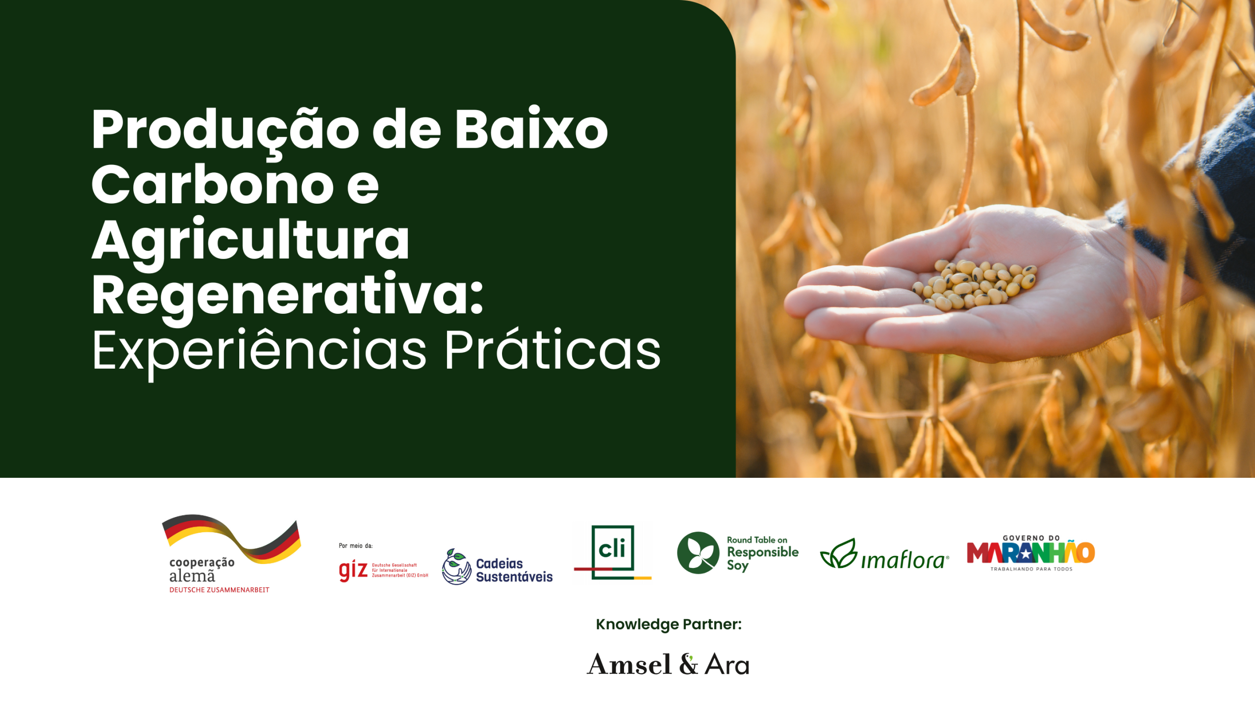 Produção de Baixo Carbono e Agricultura Regenerativa: experiências práticas