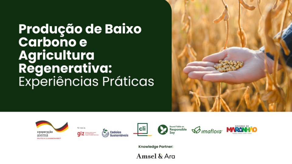 26.04.06-Apresentacao-Webinar-Agricultura-regenerativa-e-baixo-carbono.pptx.pdf