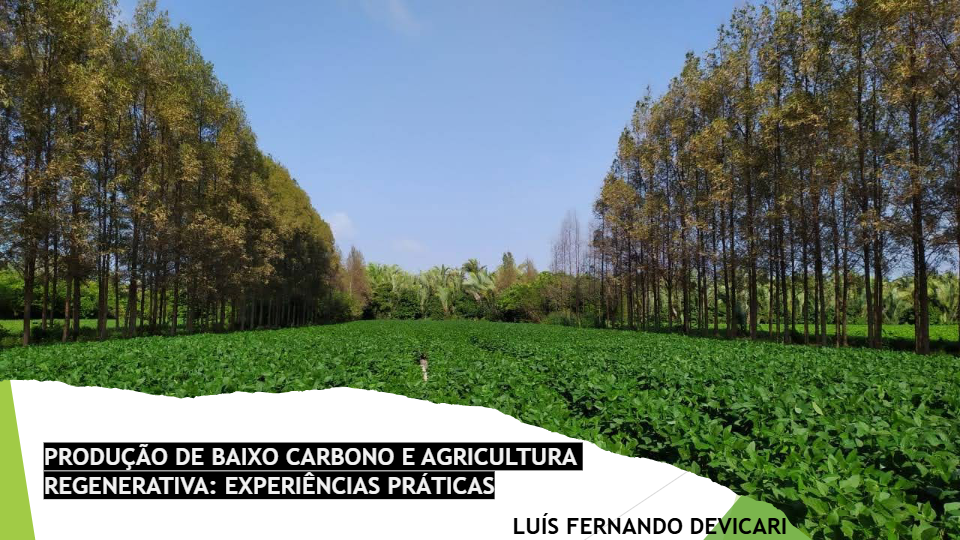 APRESENTACAO-alianca.pdf