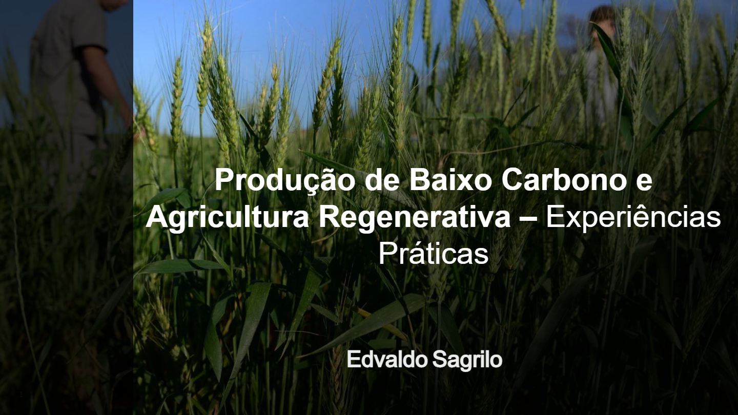 Webinar-06-04-26-Alianca.pdf